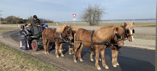 4 spand foran en maratonvogn