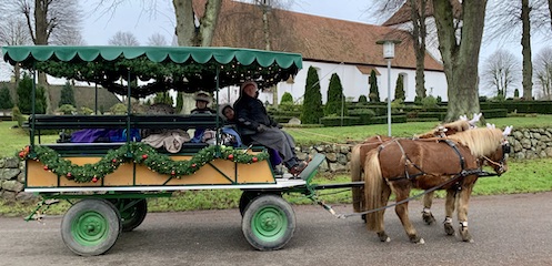 2 spand foran en hestevogn til turkørsel