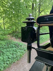 Foto af en vognlygte i skoven