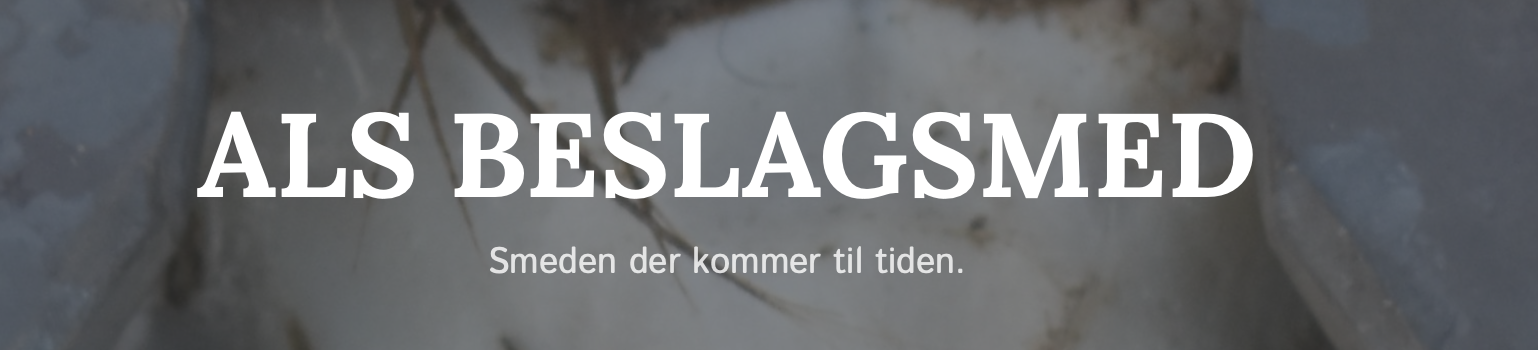 Skærmbillede 2021-03-16 kl. 11.26.31