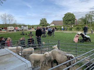 Stemnings billede fra åbent landbrug
